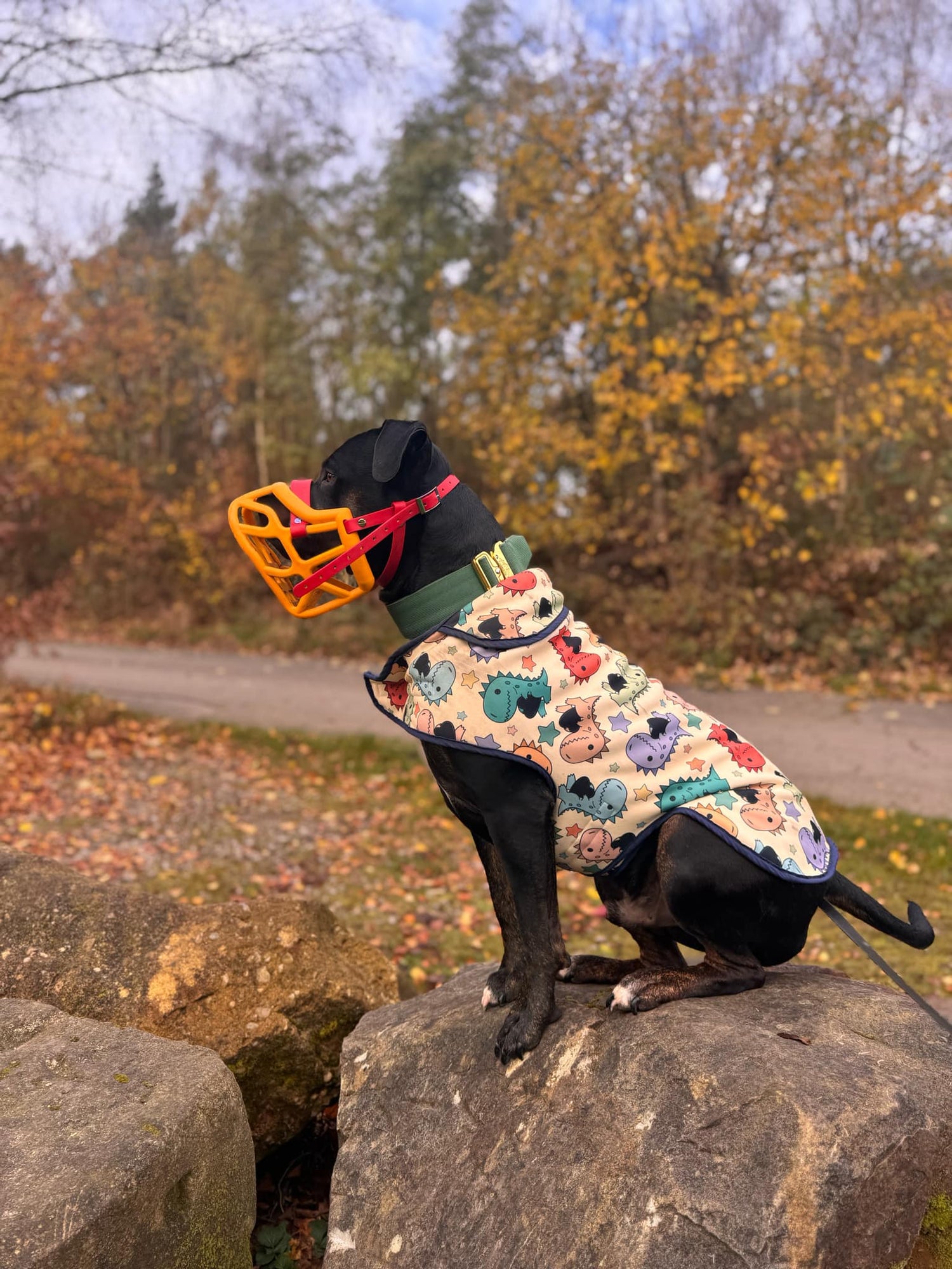 Shop All Pets