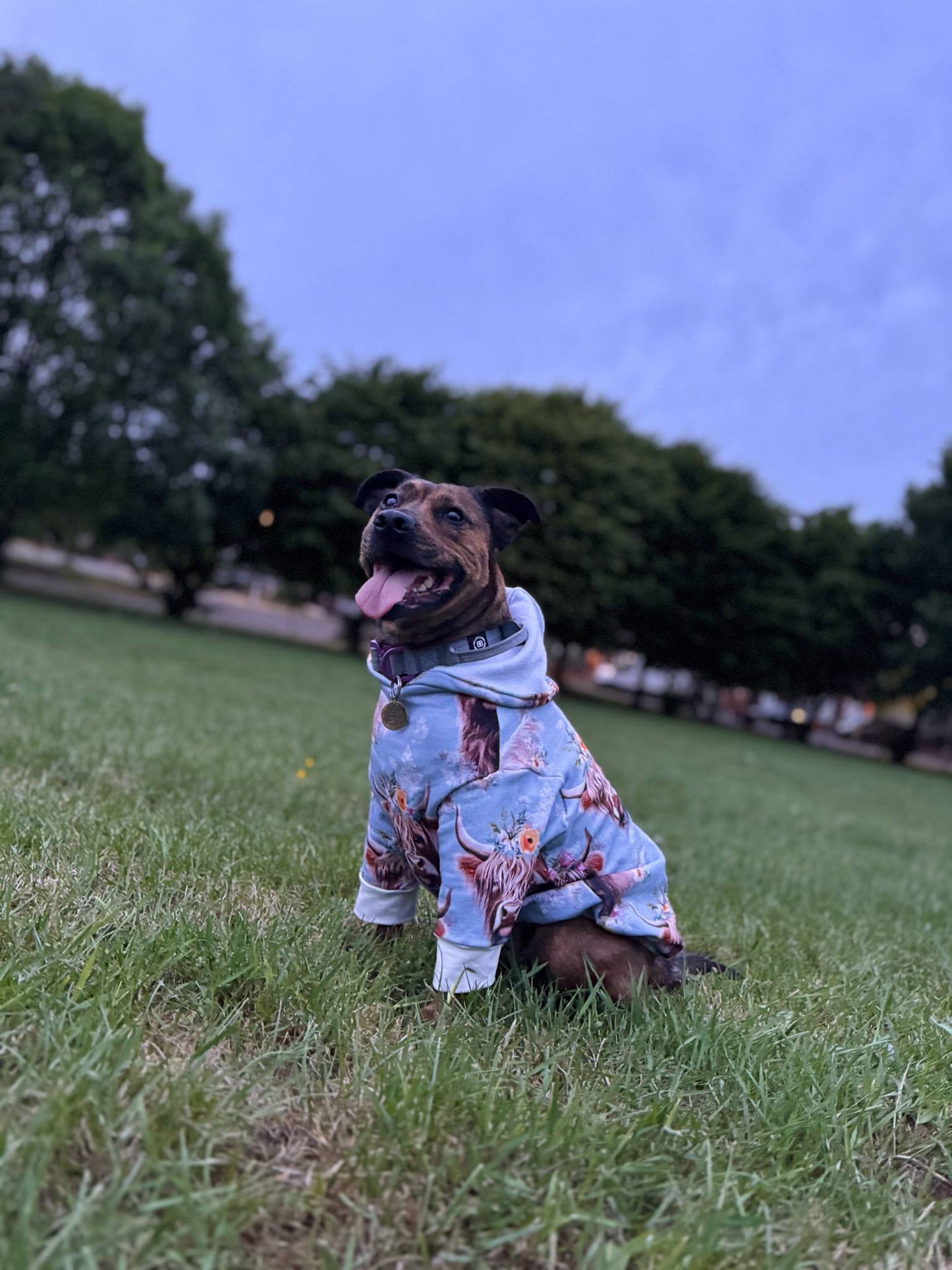 Dog hoodie/jumper