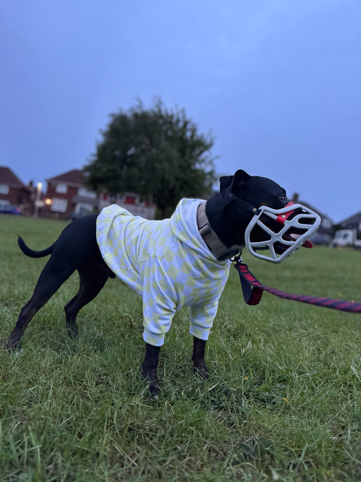 Dog hoodie/jumper
