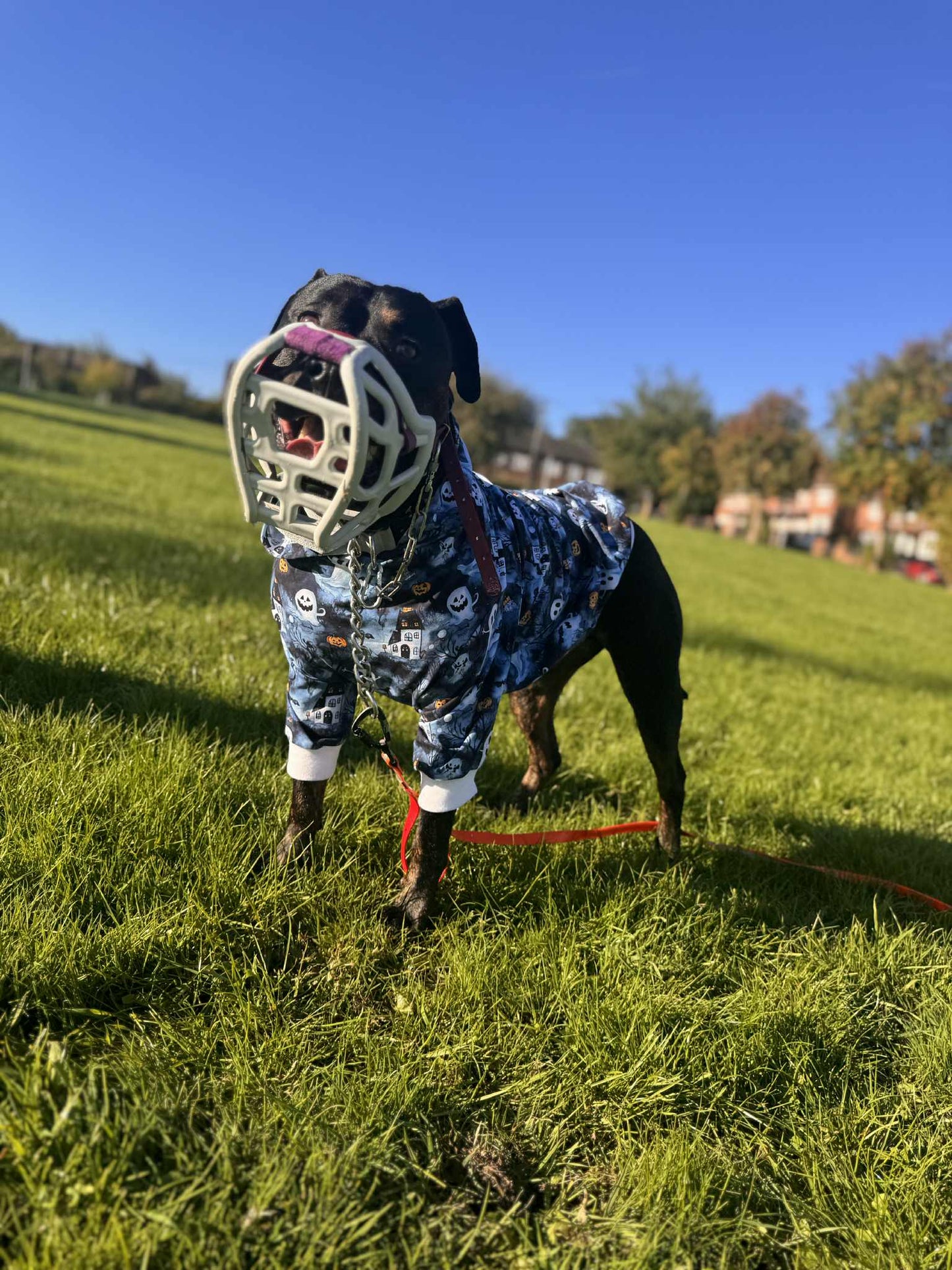Dog hoodie/jumper